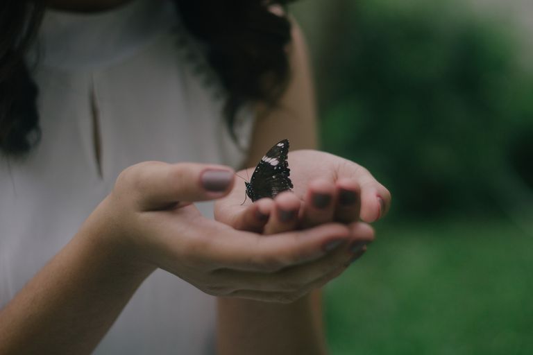 Hands releasing a butterfly